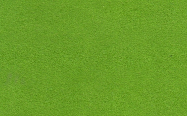 Alcantara lizard green Cover 142 cm